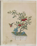 盆景花鸟图册