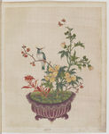 盆景花鸟图册