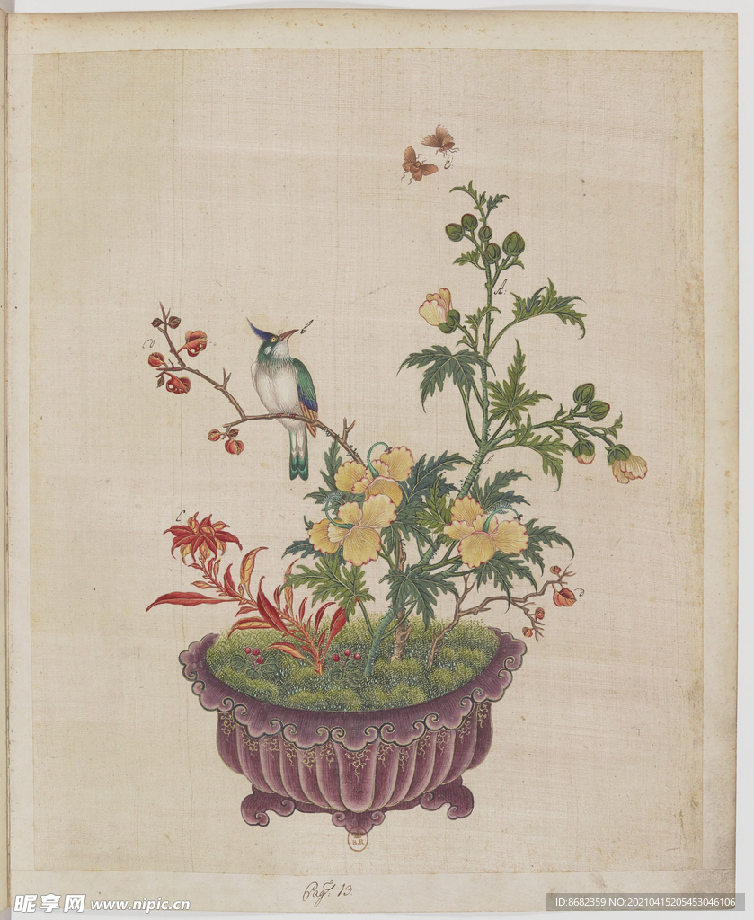 盆景花鸟图册