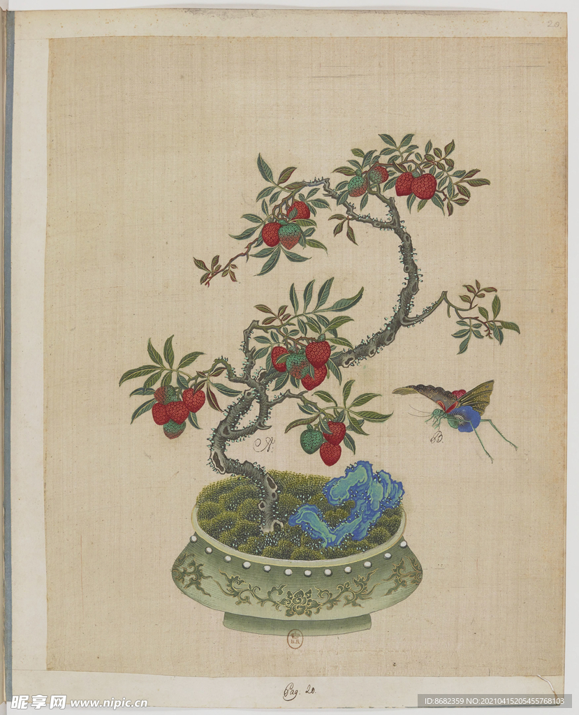 盆景花鸟图册