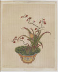 盆景花鸟图册