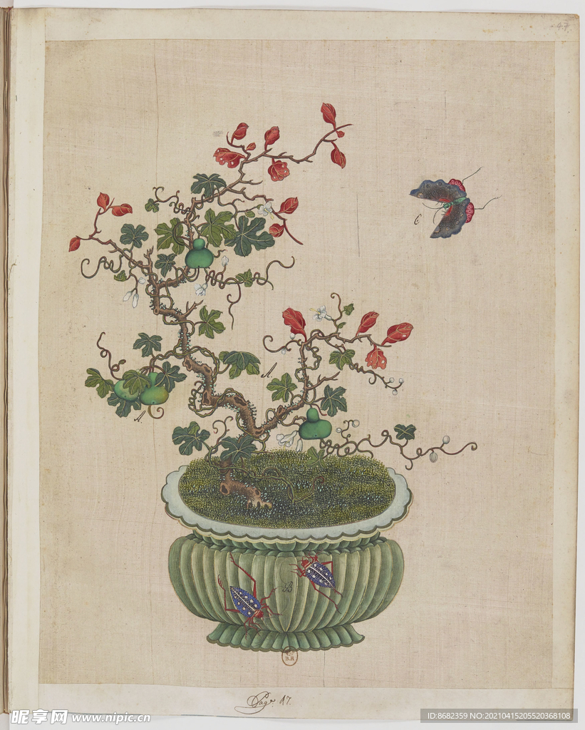 盆景花鸟图册