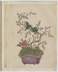 盆景花鸟图册