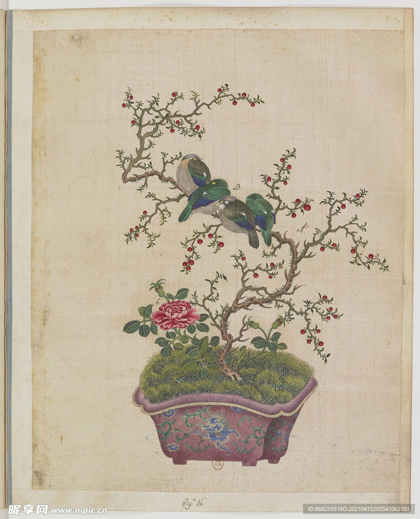 盆景花鸟图册