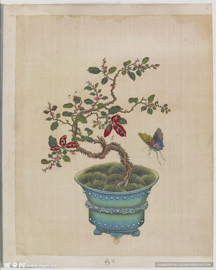 盆景花鸟图册