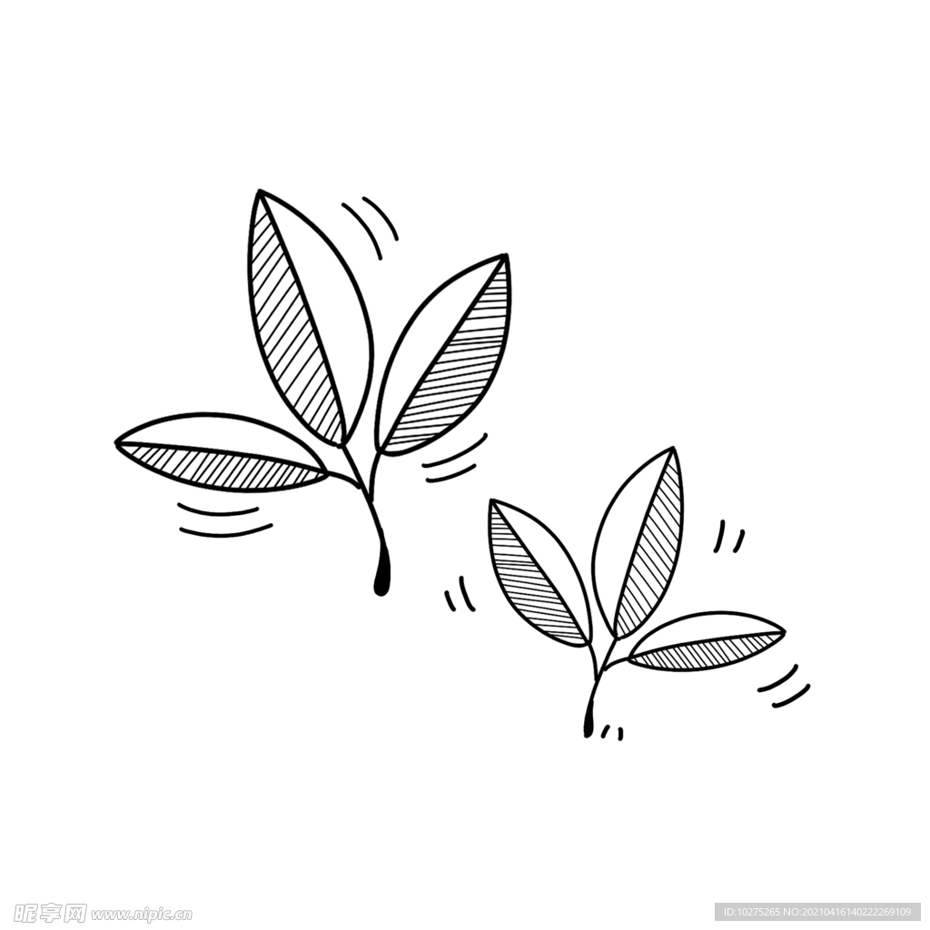 树叶简笔画