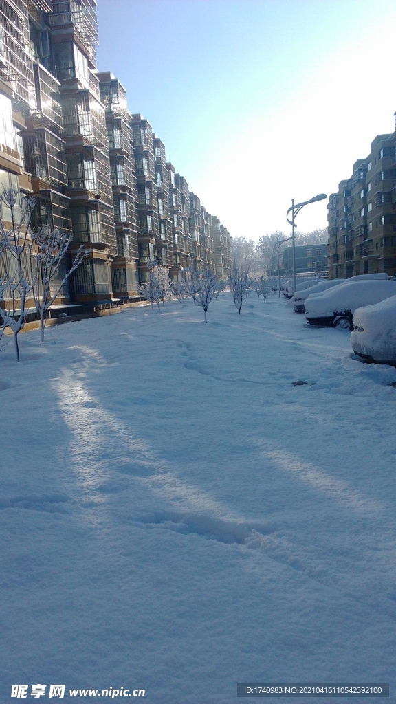 小区雪景