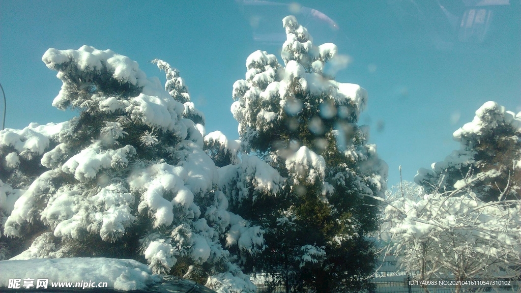 雪景