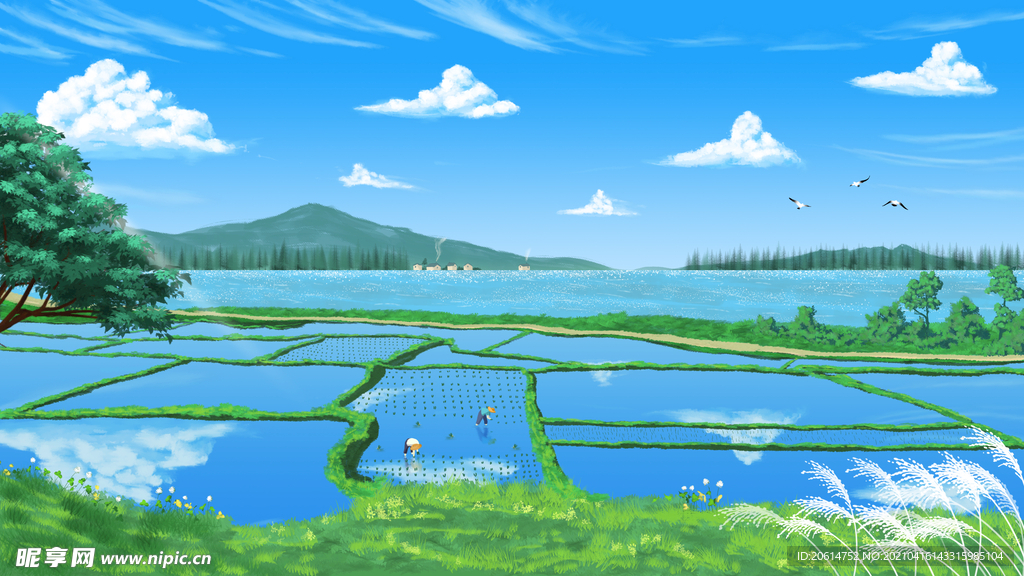 美丽的水乡风景