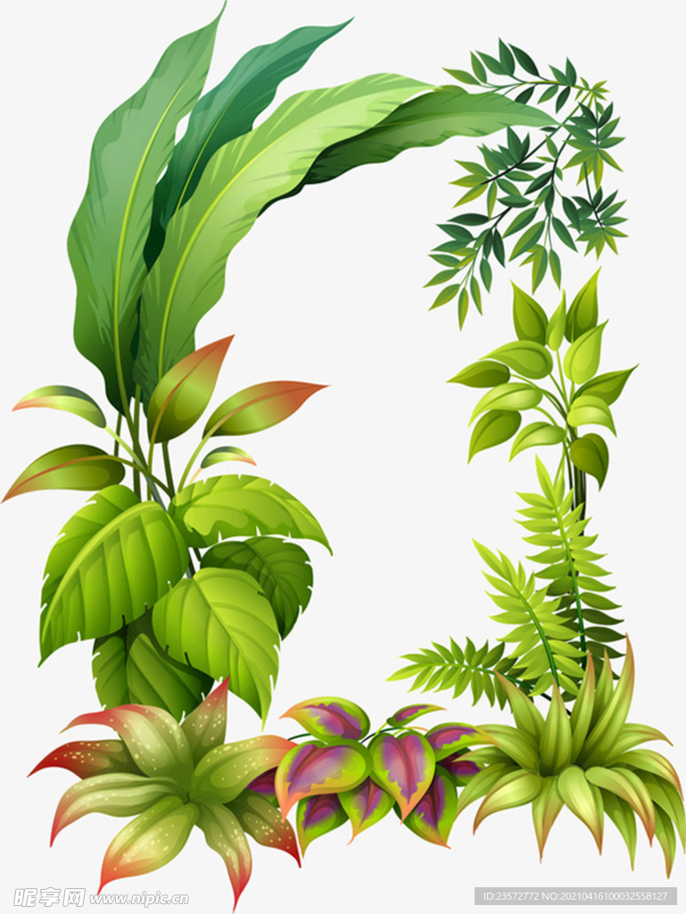 矢量手绘树叶边框