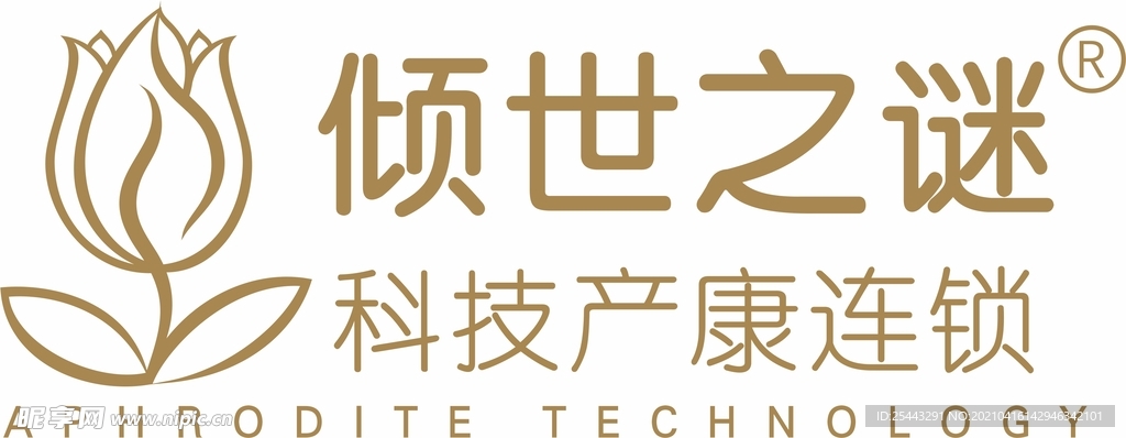 倾世之谜
