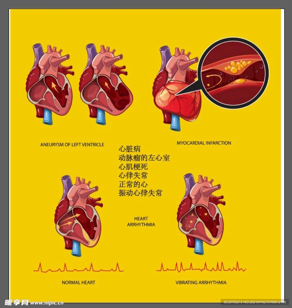 心脏插画