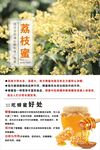 荔枝蜂蜜海报