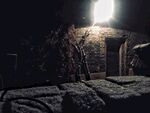 雪景 夜晚灯光