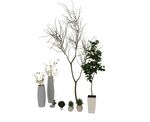 植物干支花瓶3d模型