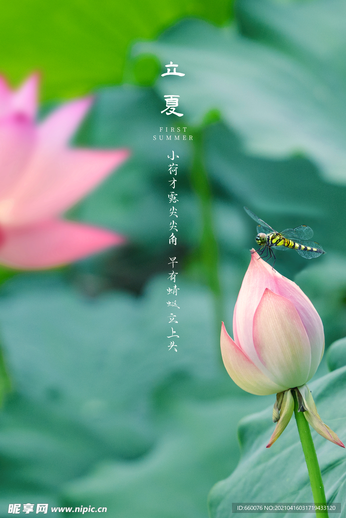 立夏 