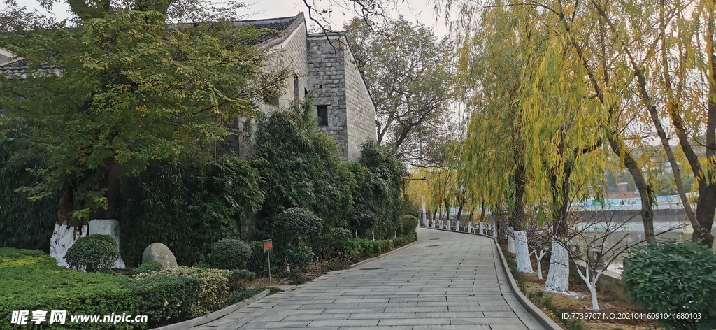 绿荫小道