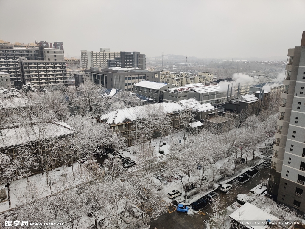 校园雪景