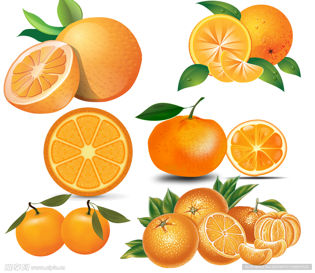 手绘卡通鲜橙子