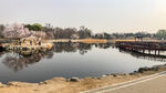 圆明园