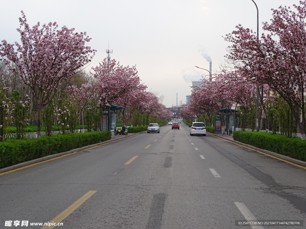 一路美景