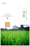 谷雨海报