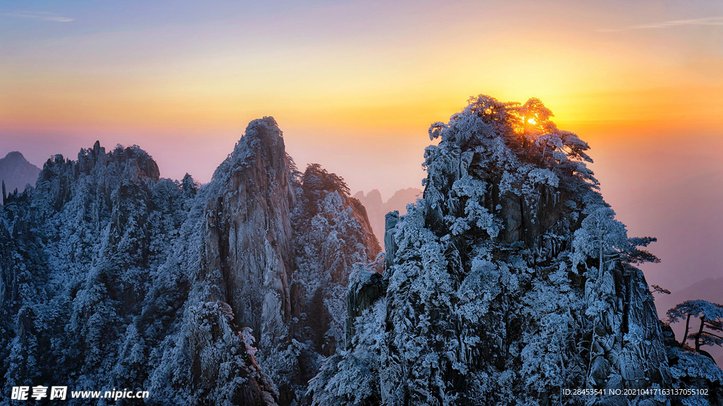 风景