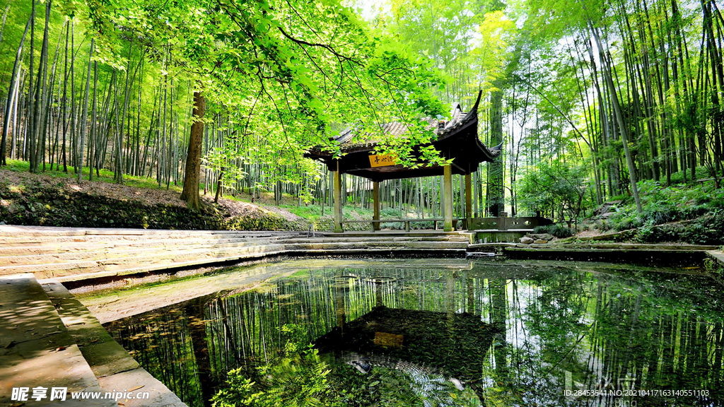 风景