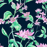 素描花