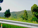 道路护栏外的风景