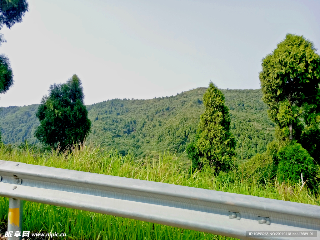 道路护栏外的风景