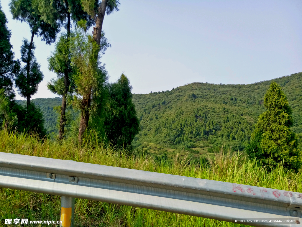 道路护栏外的风景