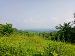 朝阳湖风景