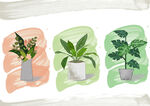 板绘 插画 植物 小清新