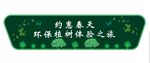 车贴 车身贴
