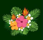 扁平化热带花束