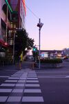 城市