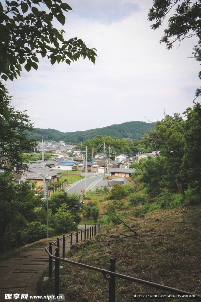 风景