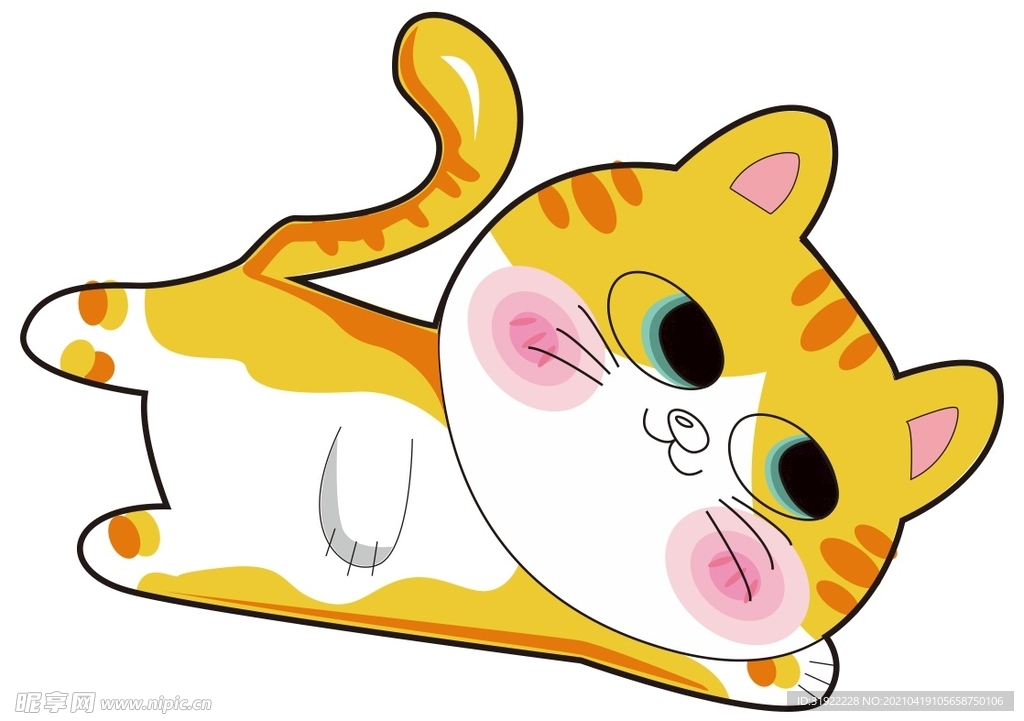 猫