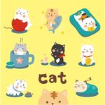 猫