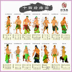 经络图