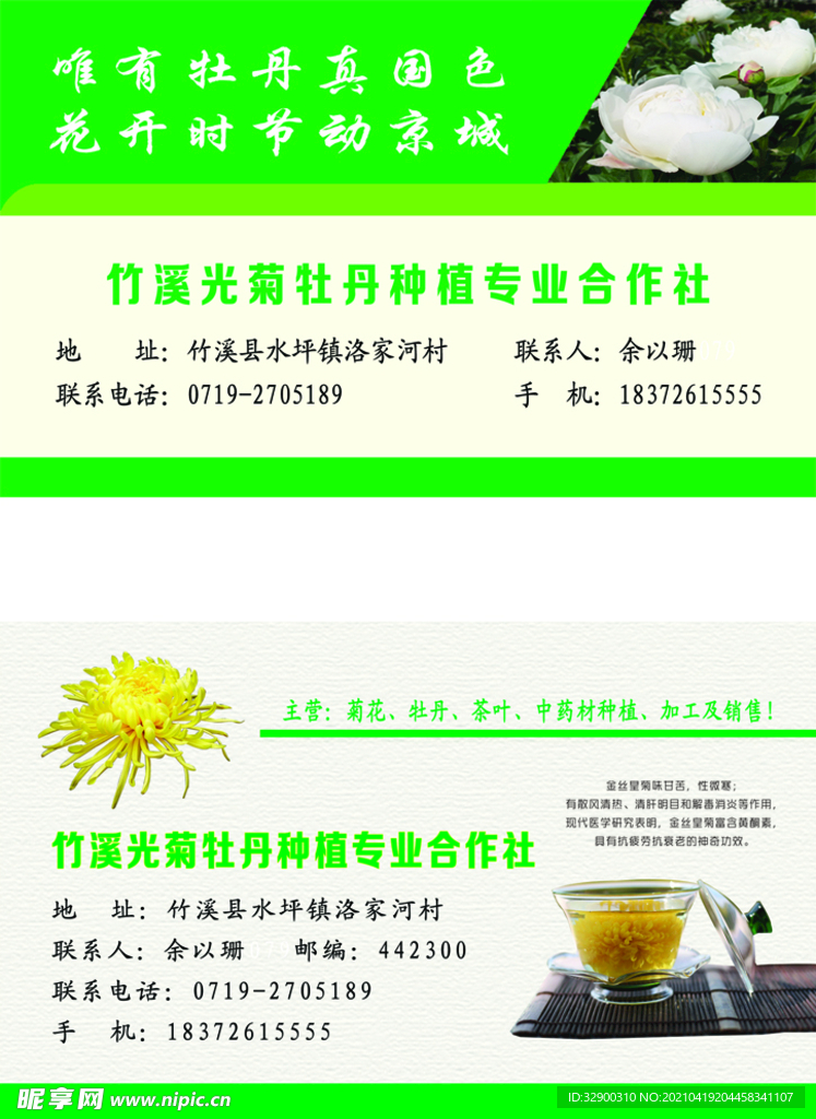 牡丹名片