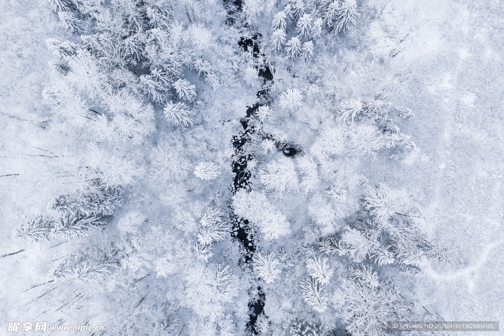 森林雪景