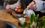 冲泡普洱茶