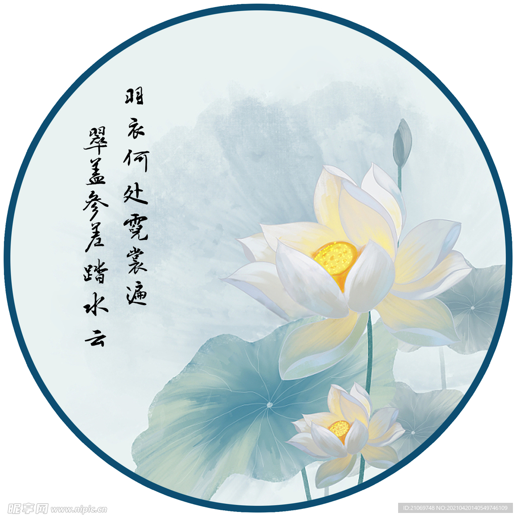 荷花
