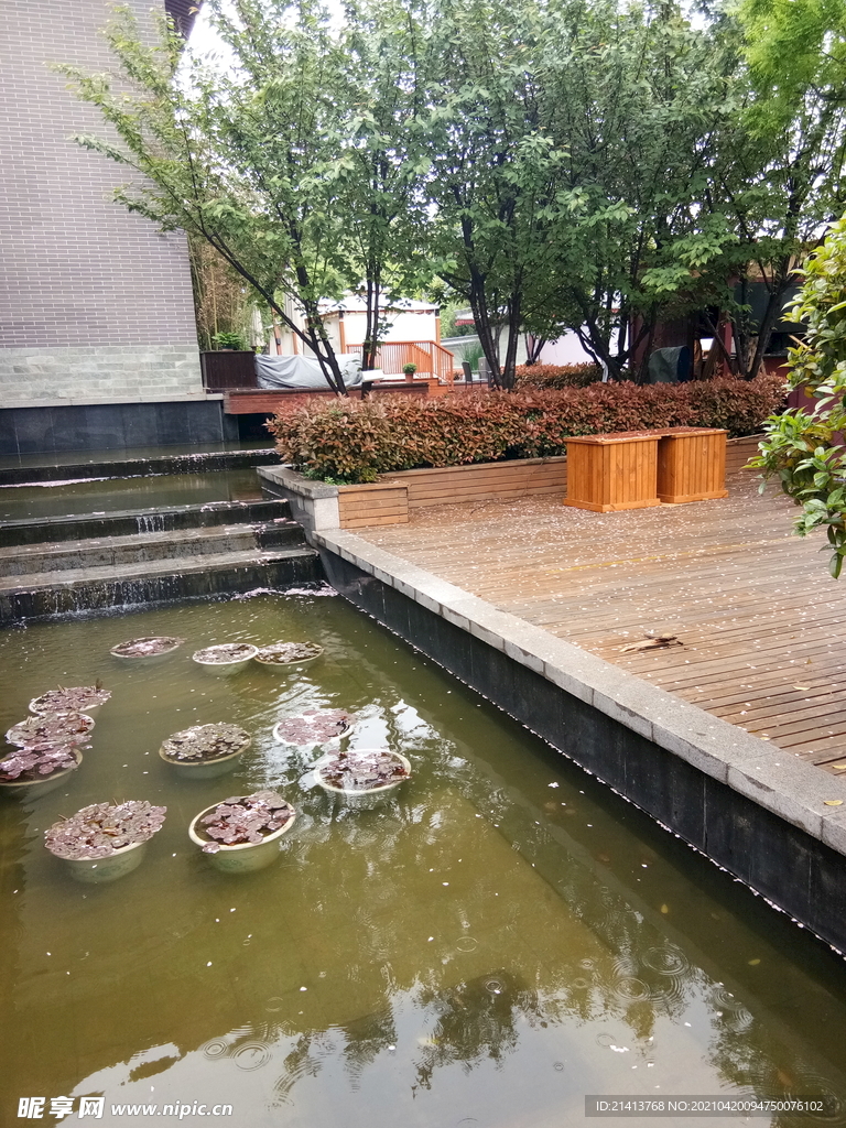 清新自然风景