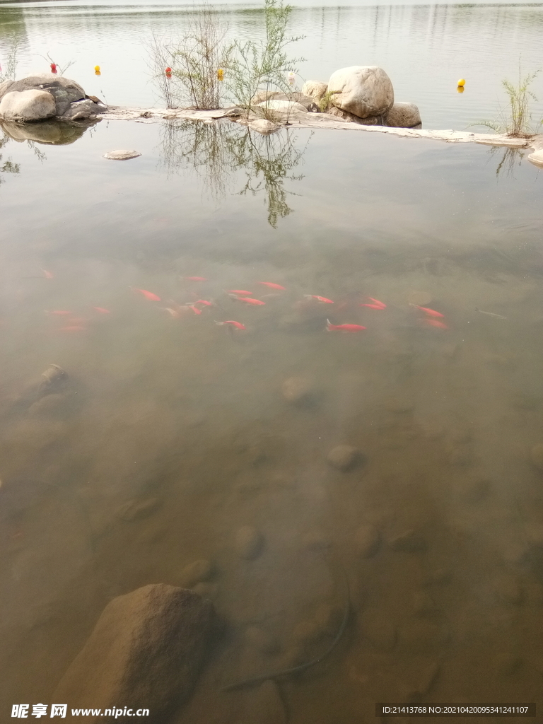清新自然风景