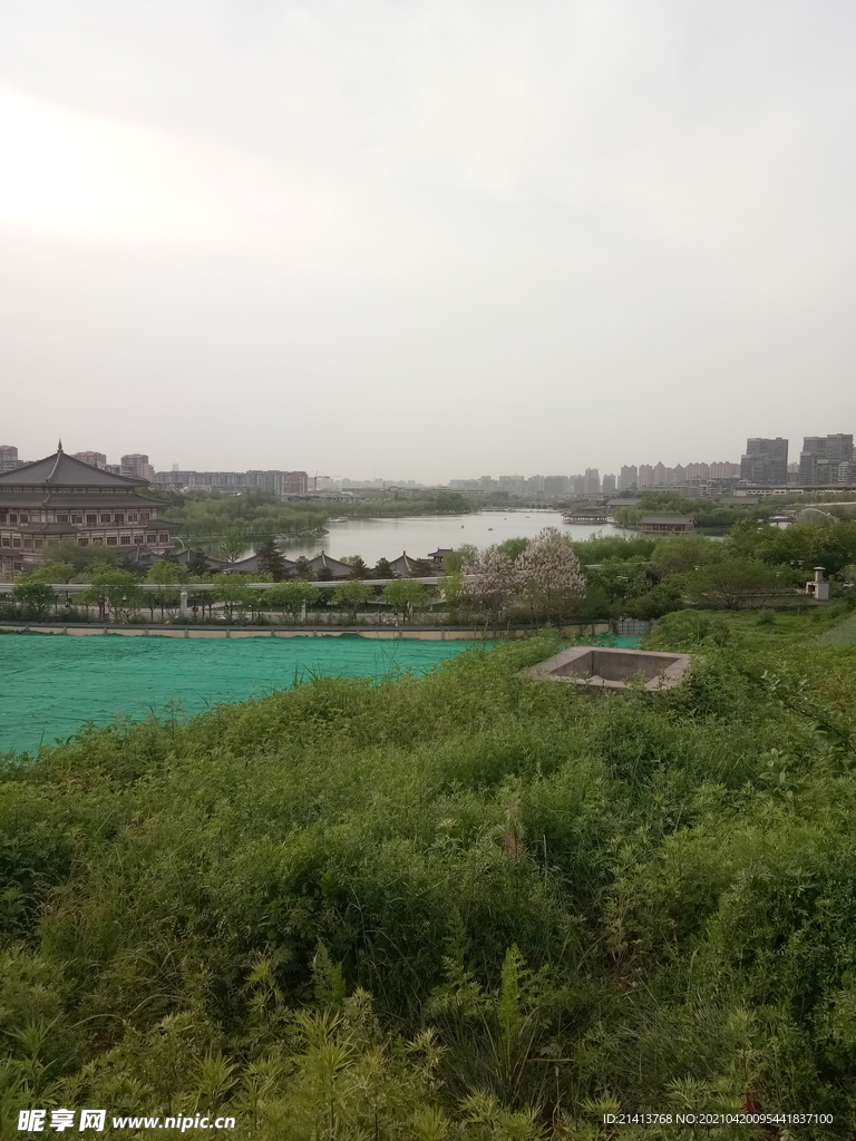 清新自然风景
