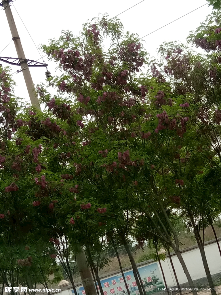 清新自然风景