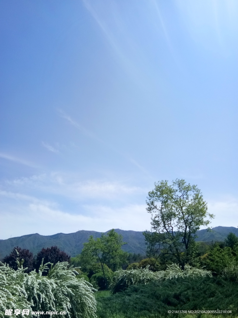 清新自然风景